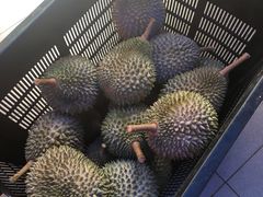 -新峰肉骨茶