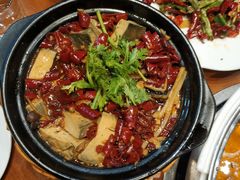 臭豆腐肥肠煲-龙梅肥肠鱼(明瓦廊店)