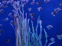 -沈阳海洋探索中心