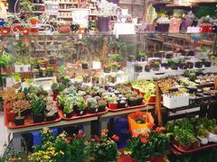 -山东嘉汇文化用品有限公司张店凤凰国际分公司(新村西路店)