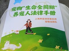 -南翔镇银翔湖公园