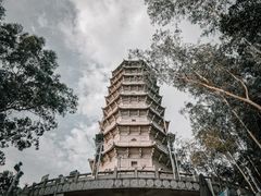 -深圳国际园林花卉博览园