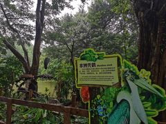 -广州长隆飞鸟乐园