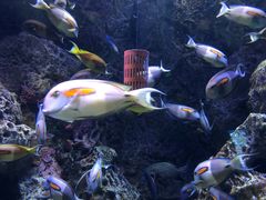 -成都浩海立方海洋公园