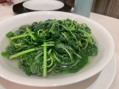 清炒苋菜-利苑酒家(金宝店)
