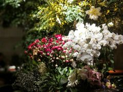 -春暖花开(西溪店)