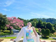 -东莞植物园