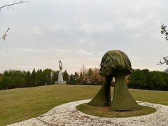 -洋湖国家湿地公园