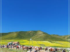 -扁都口生态休闲旅游区