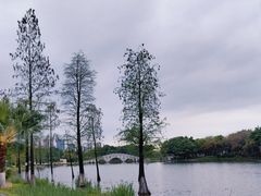 -飞来湖湿地公园