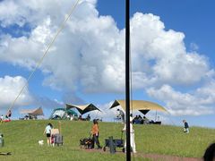 -春花秋色城市公园