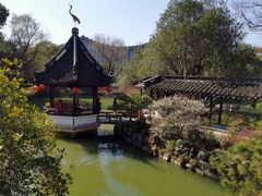 -上海醉白池公园