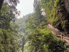 -青城山