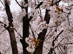 -龙美术馆西岸馆-停车场