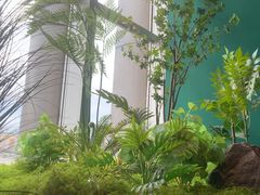 -金牌禄运·点心·啫煲(百信广场店)