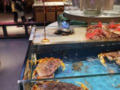 -魏铭鱼头捞饭(晋阳路店)