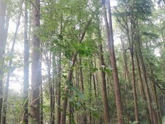 -同里国家湿地公园