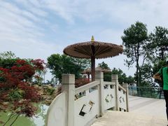 -铁山坪森林公园