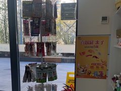 -中农国际动物医院24小时·猫科·骨科·急重症中心