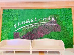 -玛丽亚妇产医院