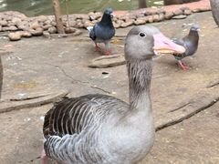 -长鹿旅游休博园