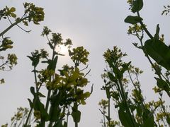 -中国茶叶博物馆(双峰馆区)