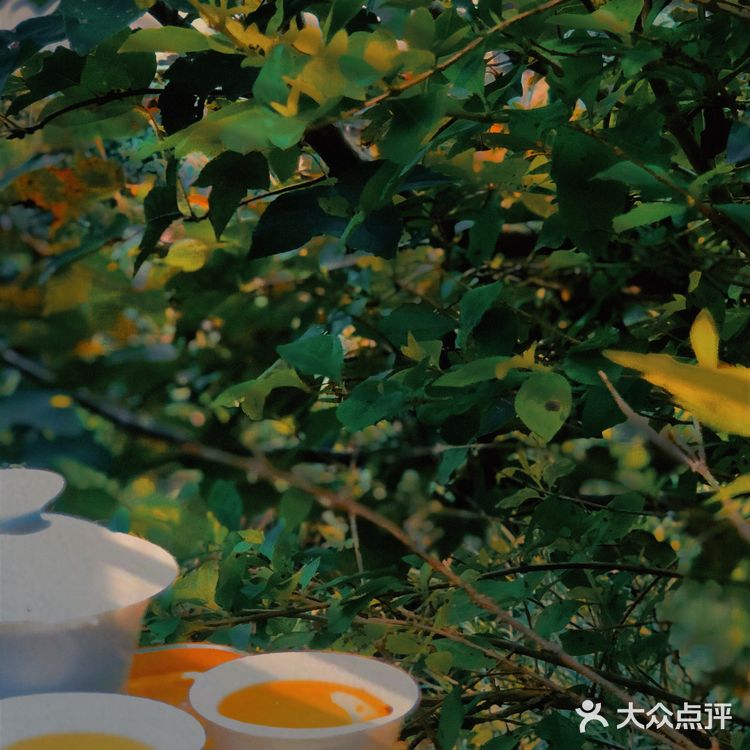 ⛰️潮州 凤凰山攻略⛺️含泪避雷篇🚫