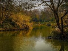 -西溪国家湿地公园