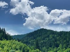 -芦芽山旅游度假区