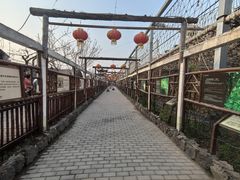 -呀路古热带植物园