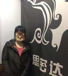 -思密达