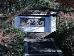 -虎跑公园