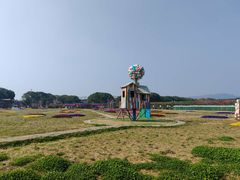 -苏州太湖西山岛开心农场