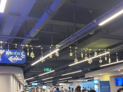 -世界之窗阿尔卑斯冰雪世界