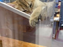 -狗道宠物(常熟印象城店)