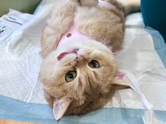 -美迦爱-牙专科·兔科·骨科诊疗中心(北苑店)
