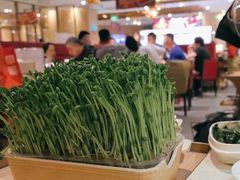 -海底捞大排档火锅(打浦路店)