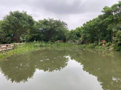 -福建鲤鱼洲酒店