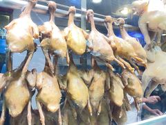 -清新鸡沙田乳鸽店(金融店)