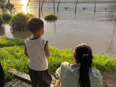 -长白岛森林公园