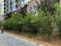 -蒲黄榆第二幼儿园(建邦华府分园)