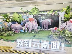 -云南省博物馆