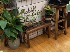 -Rabbit Cafe私房西餐甜点咖啡(栖霞路店)