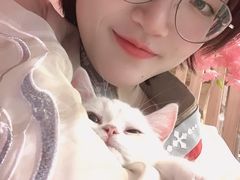 -Sweet cat·星愿猫咖(国贸大厦店)