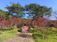 -广州市帽峰山景区