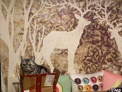 -萌兽医馆·宠物医院·猫骨科(创景店)