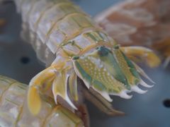 -南沙十九涌渔人码头-南门