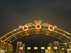-武汉知音号