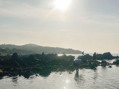 -养马岛旅游度假区