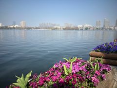 -莫愁湖公园